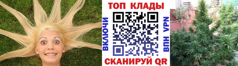 Где купить наркоту Моздок Гашиш Бошки Шишки omg рабочий сайт Alpha PVP MDMA Меф мяу мяу COCAIN