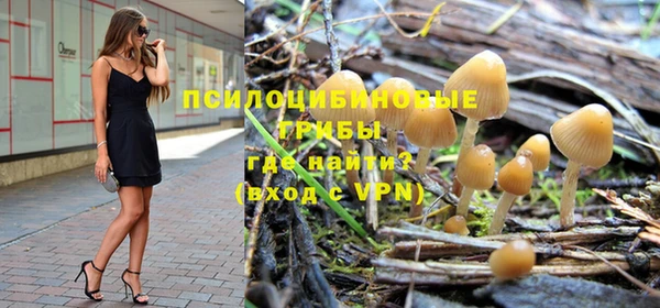 ешки Переславль-Залесский