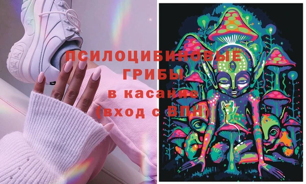 ешки Переславль-Залесский