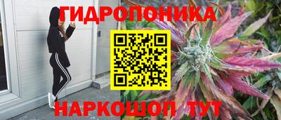 соль ск Гусь-Хрустальный