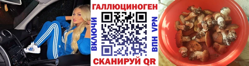 Псилоцибиновые грибы Psilocybine cubensis  Моздок 