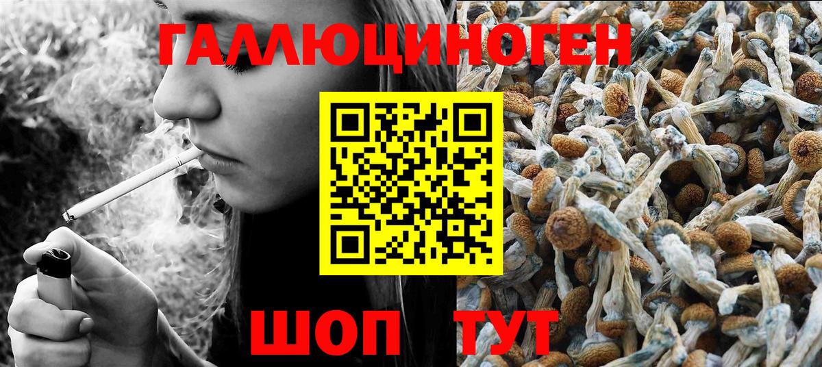 Галлюциногенные грибы Psilocybine cubensis  Галлюциногенные грибы Cubensis  Моздок  Вход с VPN 