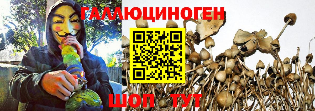 Галлюциногенные грибы MAGIC MUSHROOMS Моздок