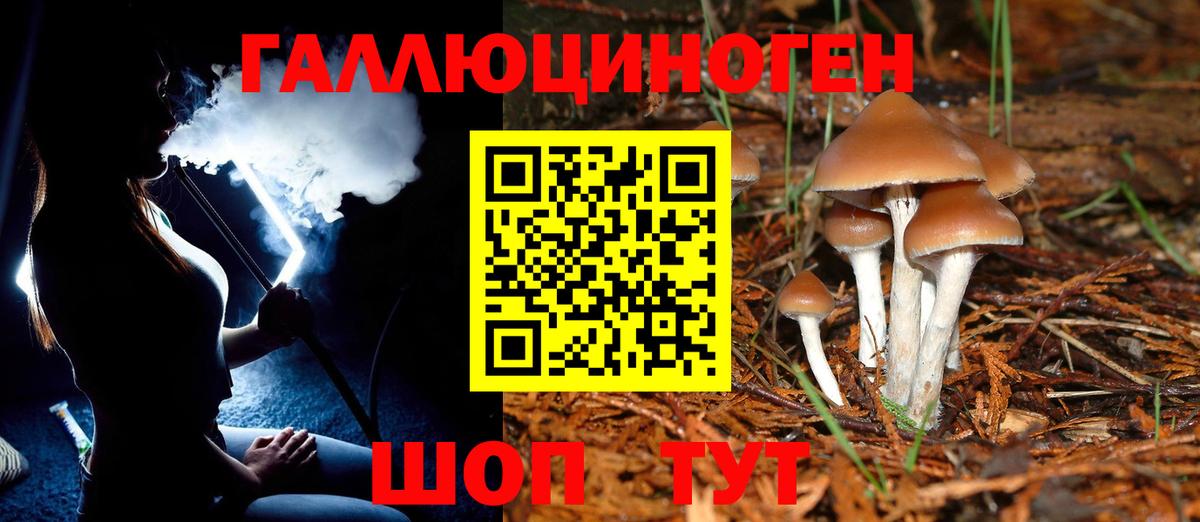 Моздок  Метамфетамин  Каннабис  МЕФ кристаллы  Альфа ПВП СОЛЬ кристаллы  Мефедрон   КОКАИН  Как найти наркотики?  Гашиш 